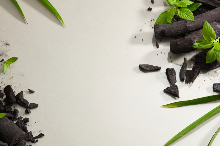 carbon vegetal